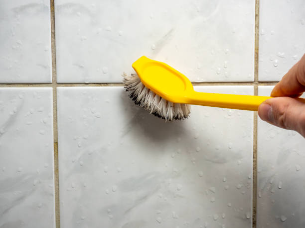 Best Mold Testing  in Sangaree, SC