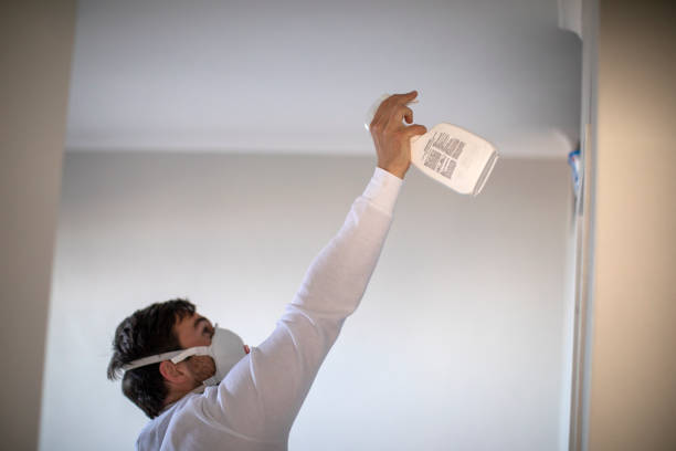 Home Mold Removal in Sangaree, SC